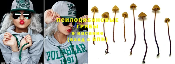 хмурый Алзамай