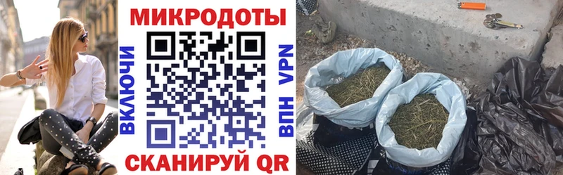 Псилоцибиновые грибы GOLDEN TEACHER  купить закладку  MEGA ССЫЛКА  Шимановск 